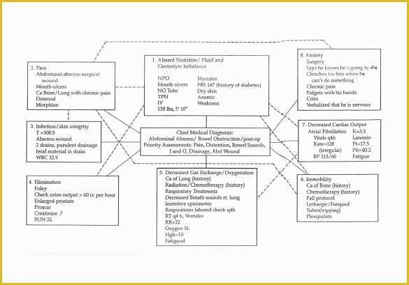 Free Templates for Care Maps Of 10 Sample Concept Map Templates