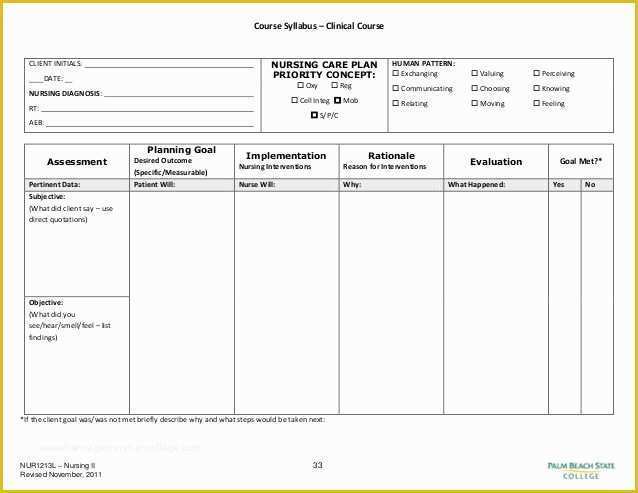 Free Templates for Care Maps Of Blank Nursing Care Plan Templates Google Search