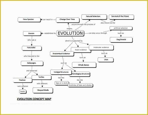 Free Templates for Care Maps Of Sample Concept Map Template 10 Free Documents In Pdf Word