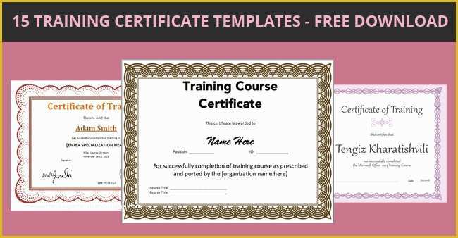 Free Templates Free Download Of 15 Training Certificate Templates Free Download Designyep