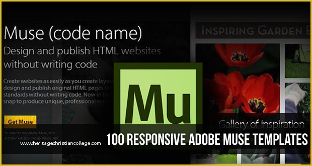 Free Templates Muse Of 100 Best Responsive Adobe Muse Templates