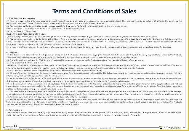 Free Terms and Conditions Template Of Payment Terms and Conditions Template Free Rusinfobiz