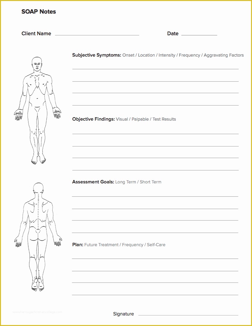 Free therapy Notes Template Of Free Massage soap Notes forms Massagebook
