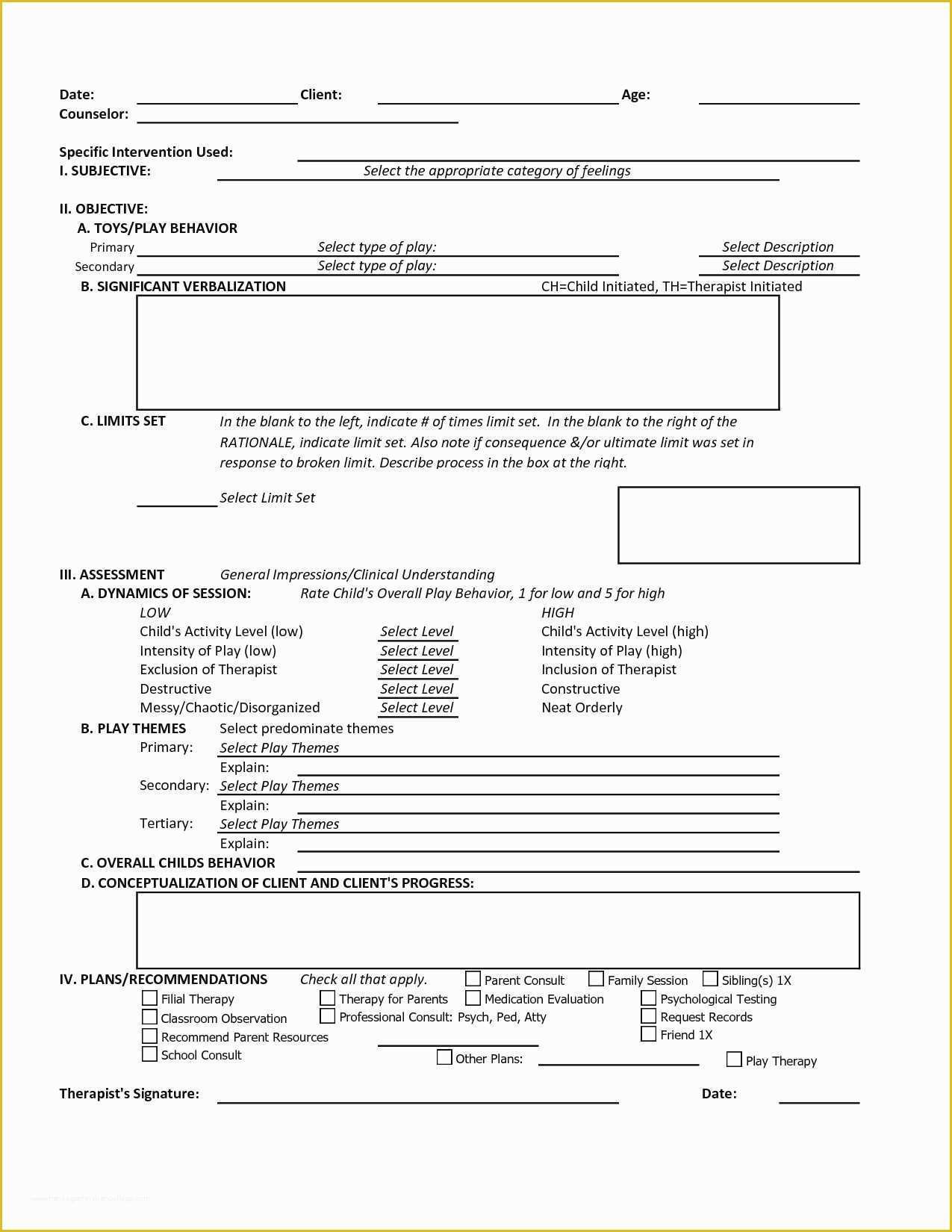 Free therapy Notes Template Of therapist Notes Template Fresh soap Note Example