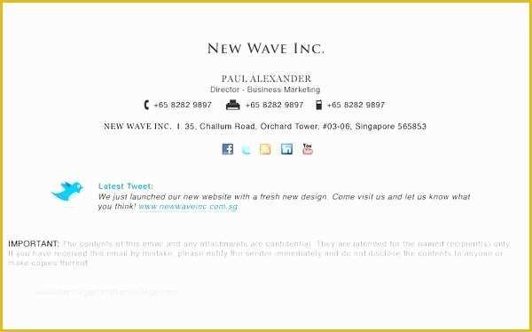 Free Thunderbird Email Signature Templates Of formal Email Template Signatures Home Design HTML