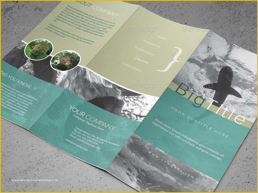 Free Tri Fold Brochure Design Templates Of 50 Premium & Free Psd Tri Fold Brochureb Templates for