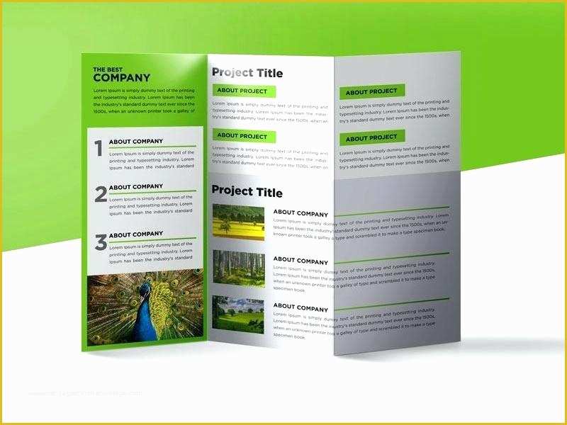 Free Tri Fold Brochure Templates Microsoft Word Of 50 Luxury Free Tri Fold Brochure Templates Microsoft Word