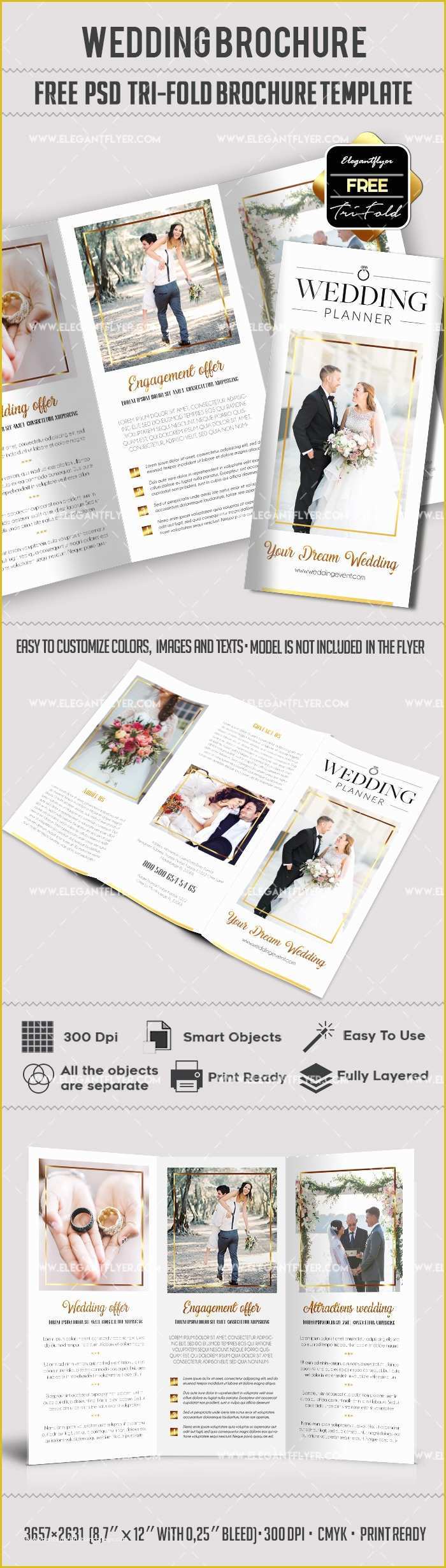 Free Tri Fold Wedding Brochure Templates Of Wedding – Free Psd Tri Fold Brochure Template – by