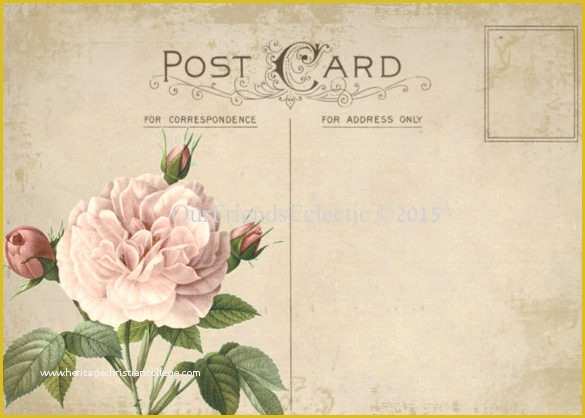 Free Vintage Postcard Template Of 34 Blank Postcard Templates Psd Vector Eps Ai
