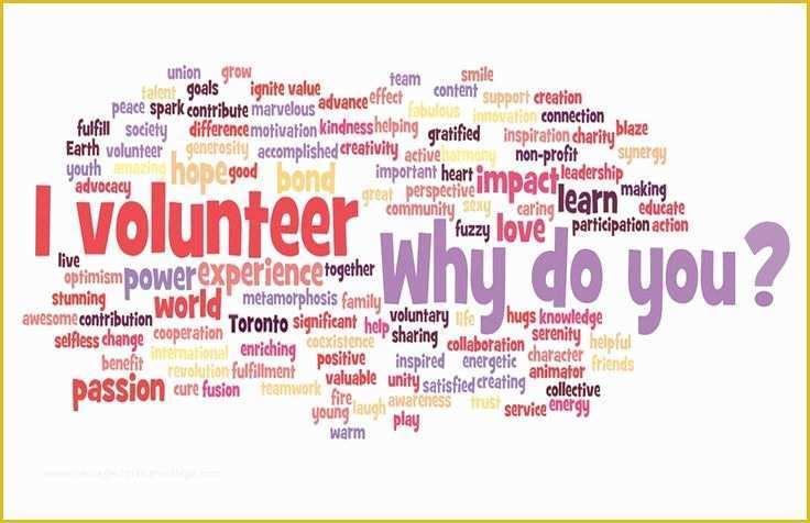 Free Volunteer Recruitment Flyer Template Of Volunteer Flyer Templates Google Search