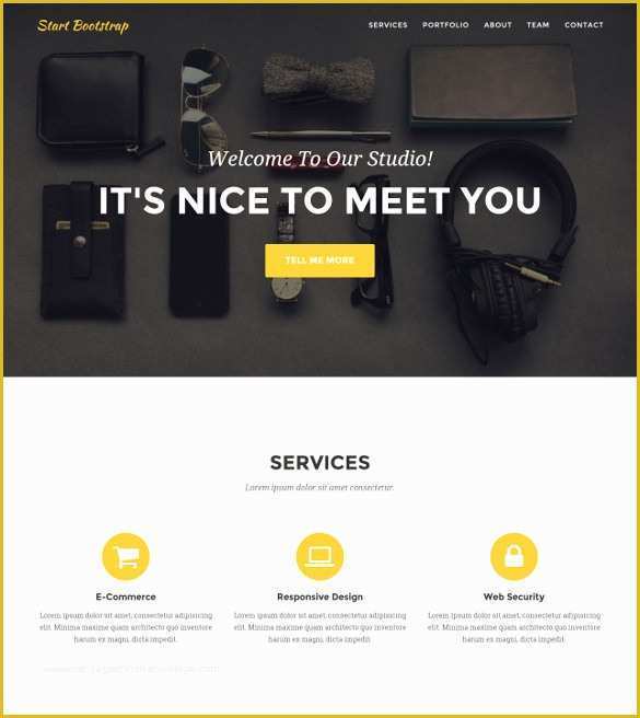 Free Web Developer Portfolio Template Of 36 Portfolio Website themes &amp; Templates