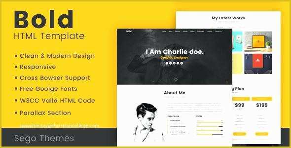 Free Web Developer Portfolio Template Of Template Web Design Portfolio Free Bold Modern Portfolio