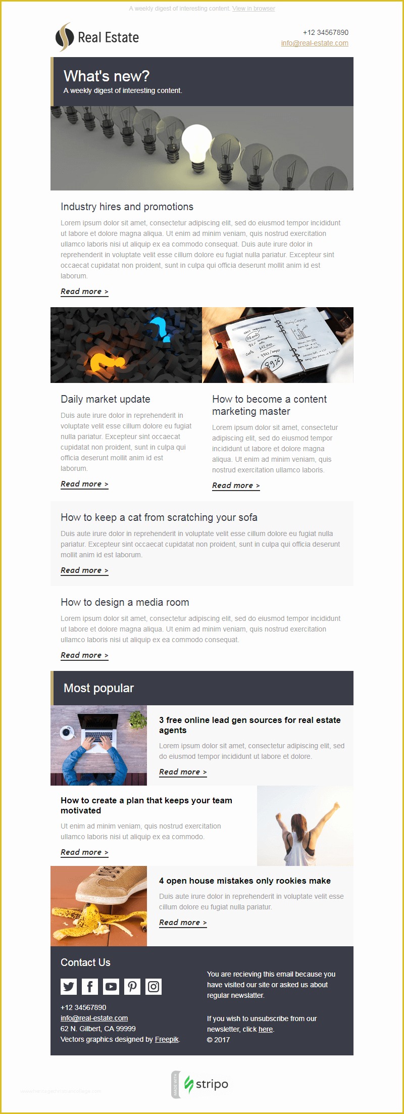 Free Web Newsletter Templates Of 25 Best Mailchimp Newsletter Templates From Around the Web