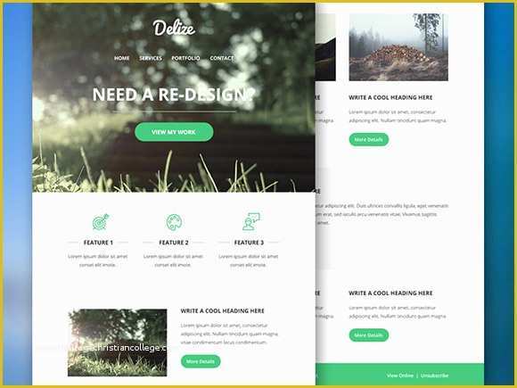 Free Web Newsletter Templates Of Delize Email Psd Template Freebiesbug