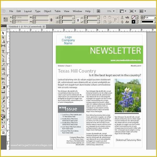 Free Web Newsletter Templates Of Learn About Designing Web Pages In Indesign Should You