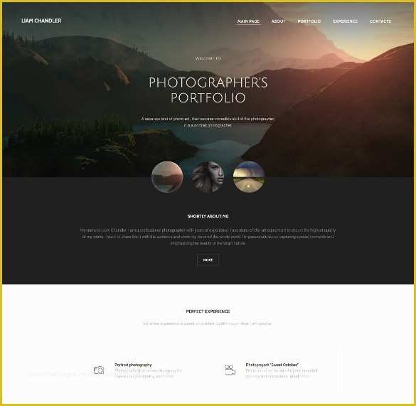 Free Web Page Templates for Word Of 28 Graphy Website themes &amp; Templates