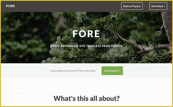 Free Website Template Code Of fore HTML Website Template Freebiesbug