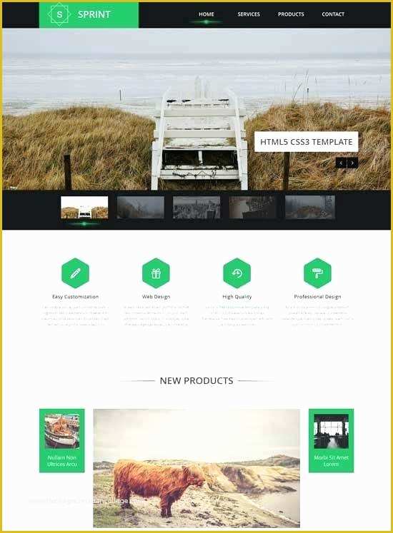 Free Website Template Code Of Free Website Template Code See All Templates Website