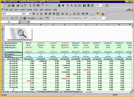 Free Weekly Cash Flow forecast Template Excel Of Excel Cash Flow Budgeting