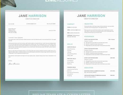 Free Windows Resume Templates Of Microsoft Resume Free Download for Windows 7 Tag