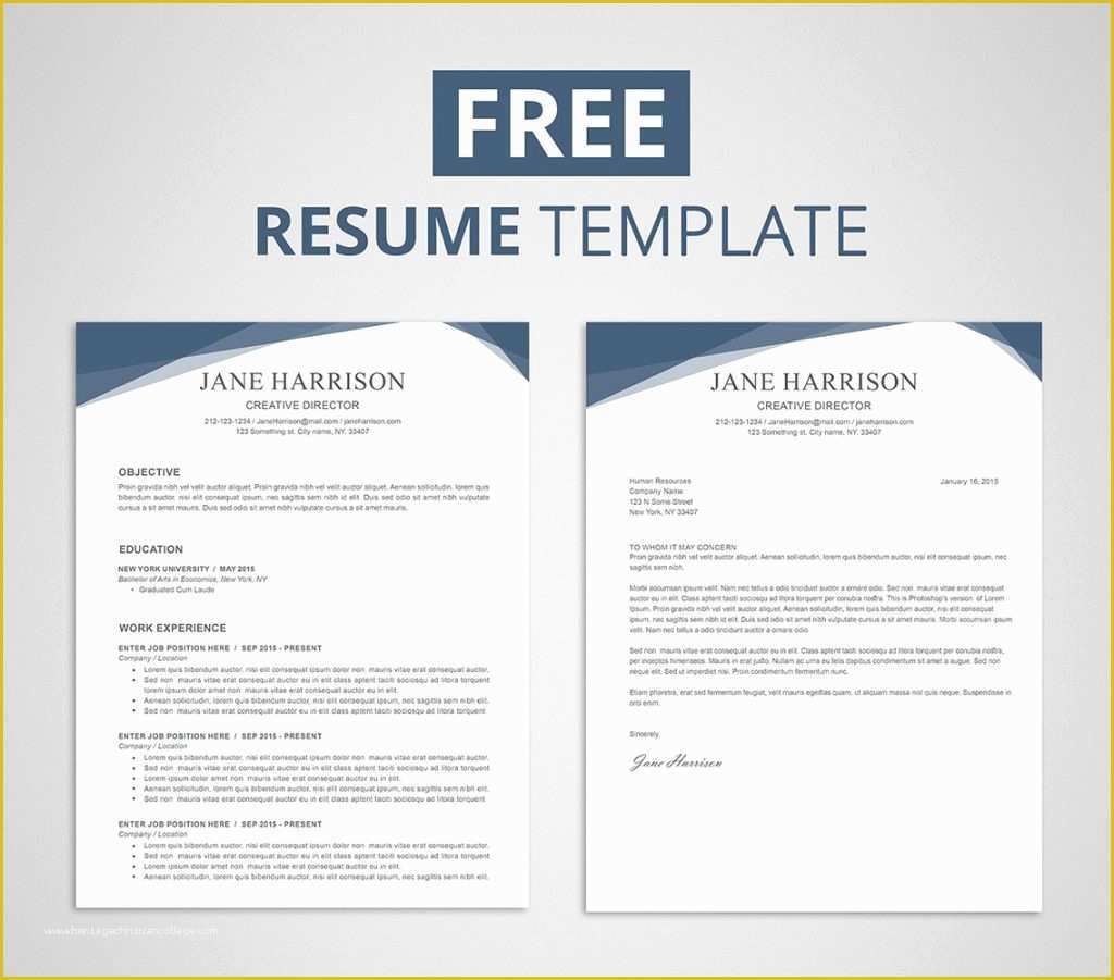 Free Windows Resume Templates Of Resume and Template Graphic Resume Templates Free Resume