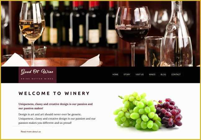 Free Wine Website Templates Download Of HTML Template Bundle