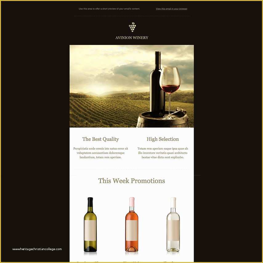 Free Wine Website Templates Download Of Winery Free Responsive Email Newsletter Template