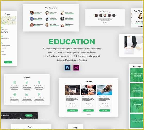 Free Xd Templates Of Education Web Template Free Ui Kit In Psd and Adobe Xd