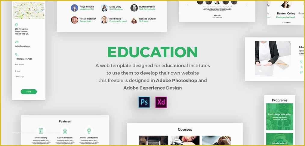 Free Xd Templates Of Free Education Web Template Xdguru