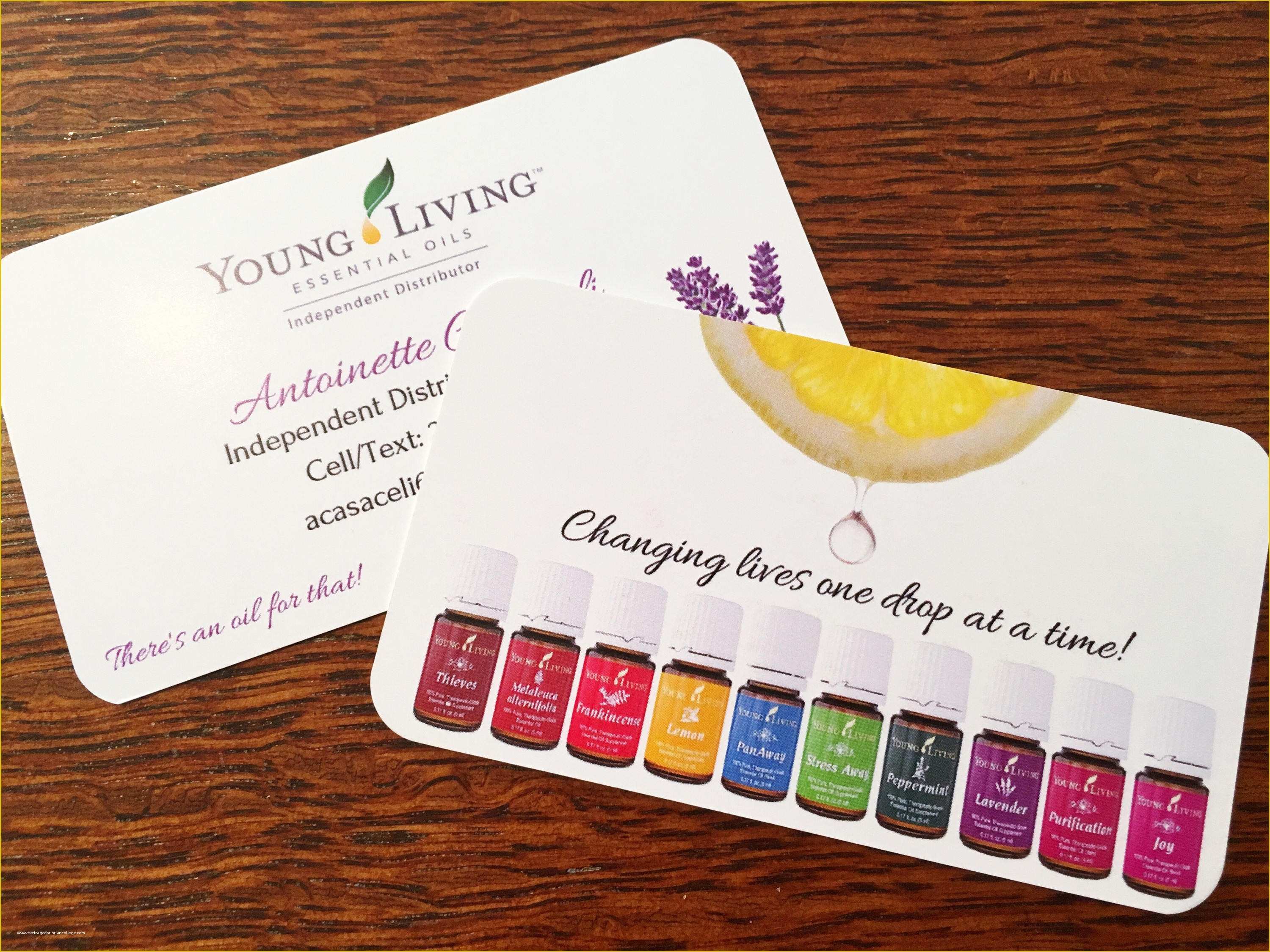 Free Young Living Business Card Templates Of Essential Oil Business Card Template for Independent