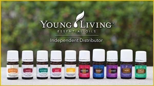 Free Young Living Business Card Templates Of Young Living Business Cards