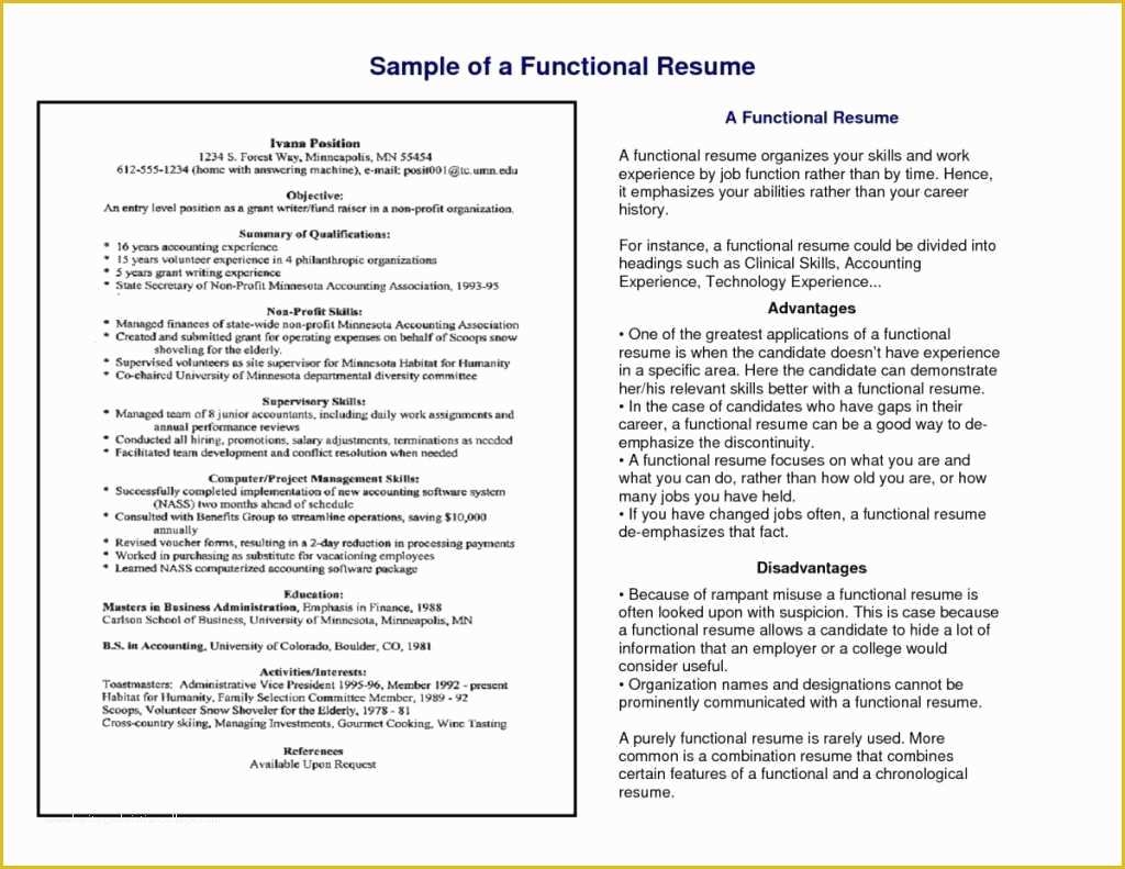 Functional Resume Template Free Download Of Free Functional Resume Builder software Tag Remarkable
