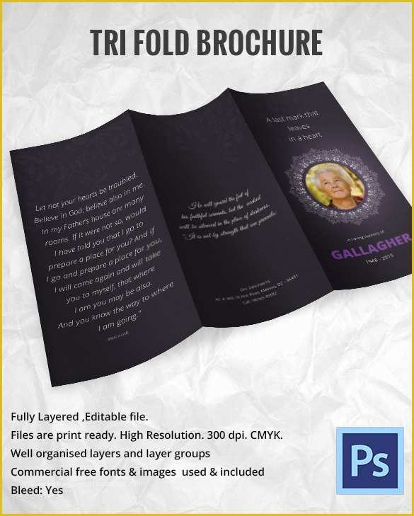 Funeral Brochure Template Free Of 31 Funeral Program Templates – Free Word Pdf Psd