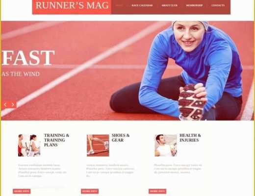 Google Web Templates Free Of 27 Google Website themes &amp; Templates