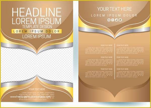 Graphic Flyer Templates Free Of Adobe Illustrator Flyer Template Free Vector