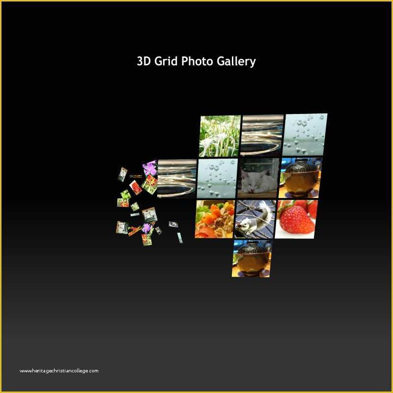 Grid Website Templates Free Of Flash Template 121 3d Grid Gallery