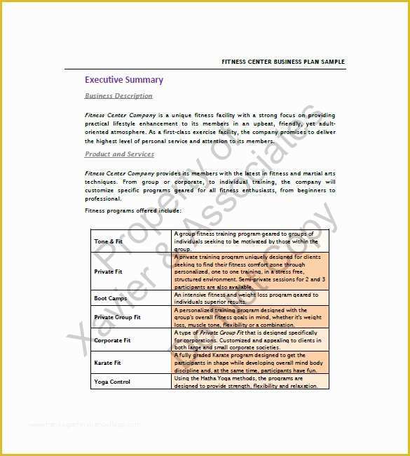 Gym Business Plan Template Free Of Gym Business Plan Template 13 Free Sample Example