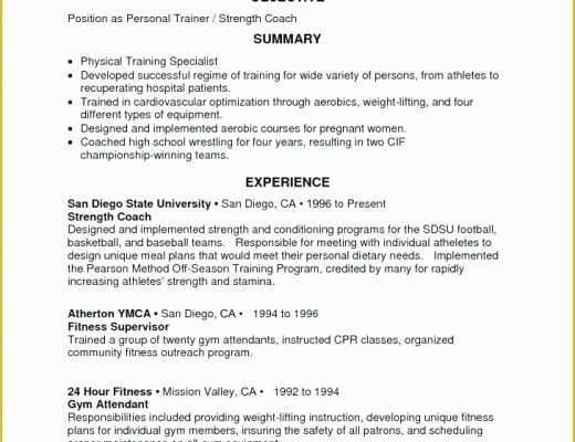Gym Business Plan Template Free Of Gym Business Plan Template Small Gym Business Plan