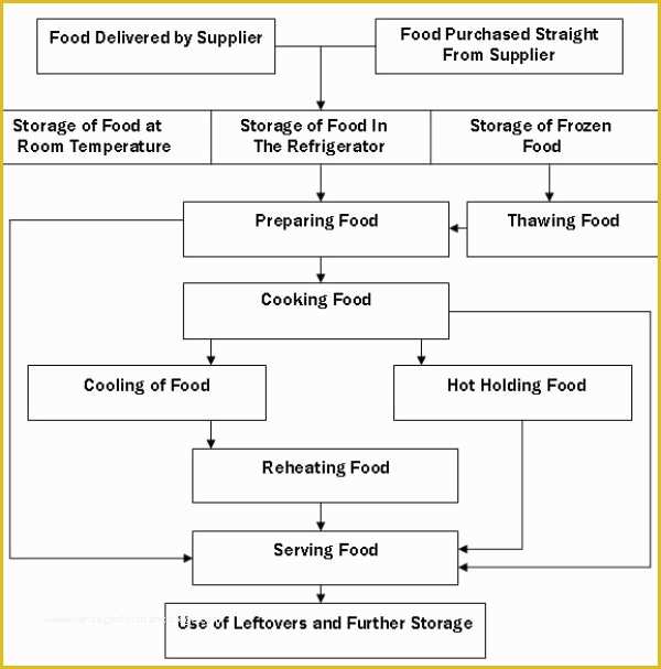 Haccp Templates Free Of 22 Best Food Safety Posters Images On Pinterest