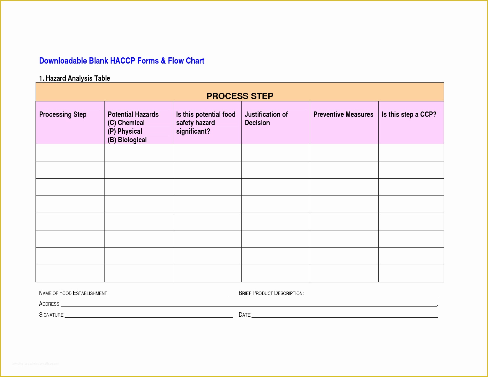 Haccp Templates Free Of 6 Best Of Blank Haccp Flow Chart Template Printable