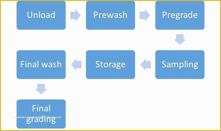 Haccp Templates Free Of Downloads