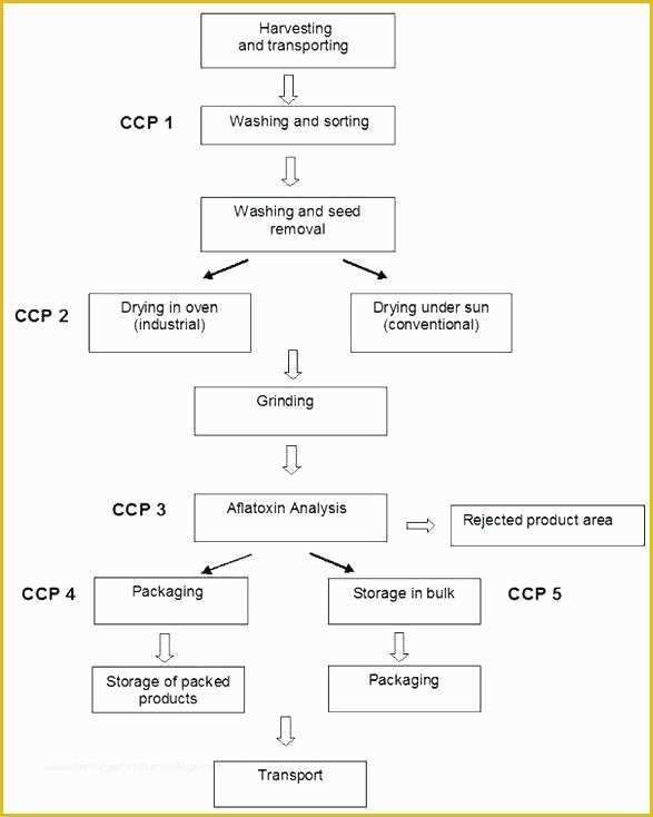 Haccp Templates Free Of Examples Of A Haccp Flow Chart – Haccp Plan Template