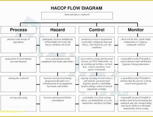 Haccp Templates Free Of Haccp Flow Diagram Template Flow Chart Template Best