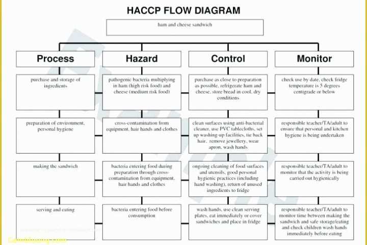 Haccp Templates Free Of Haccp Flow Diagram Template Flow Chart Template Best