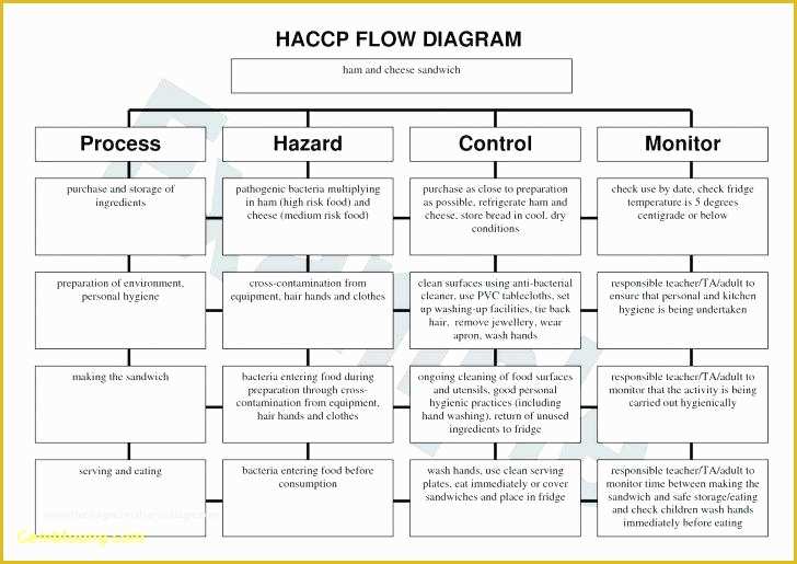 Haccp Templates Free Of Haccp Flow Diagram Template Flow Chart Template Best