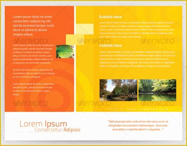 Half Fold Brochure Template Free Of 54 Half Fold Brochure Templates Free Word Psd