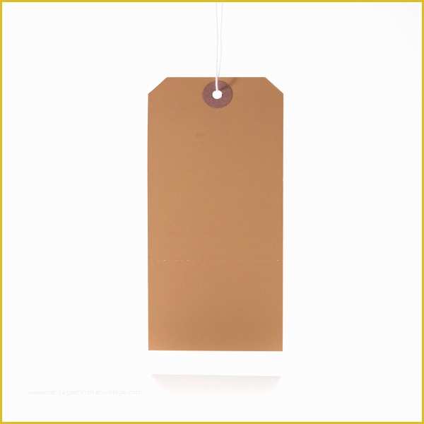 Hang Tag Template Free Of 15 Hang Tag Designs Free Printable Psd Eps