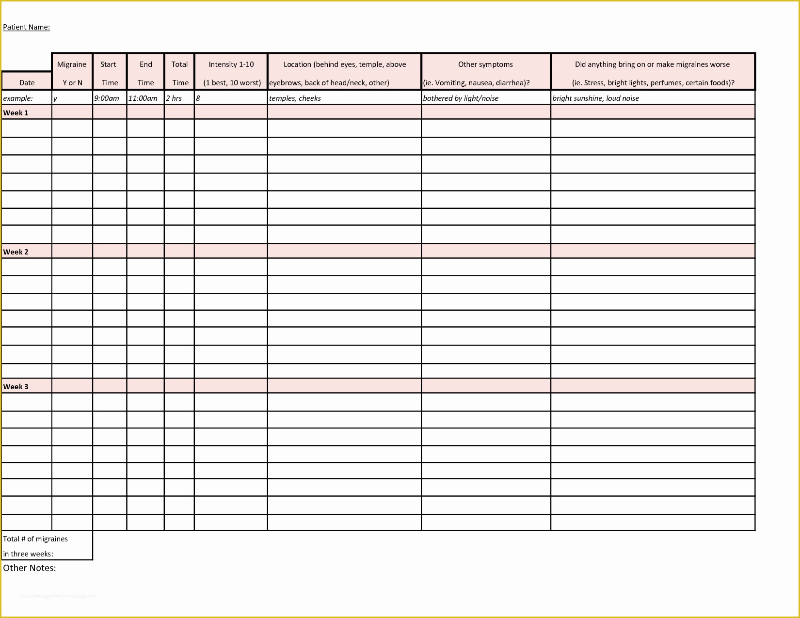 Headache Diary Template Free Of Migraine Diary Template Lcadwdsv Migraines