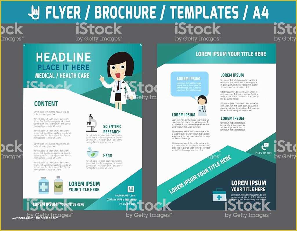 Health Care Flyer Template Free Of Flyerbrochuretemplatebusiness Health Care Stock Vector Art