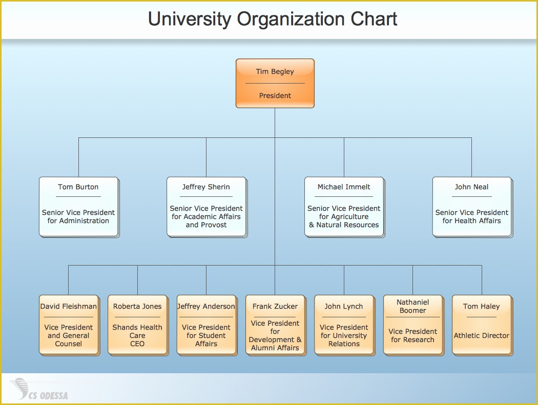 Hierarchy Chart Template Free Of Conceptdraw Samples